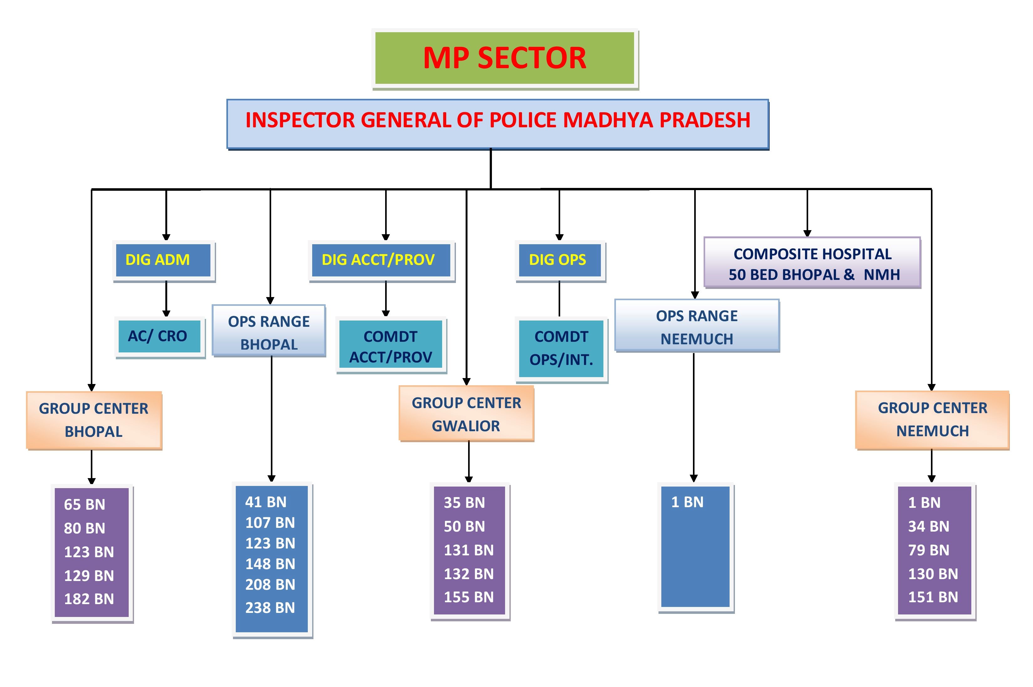 Raf Organization Structure