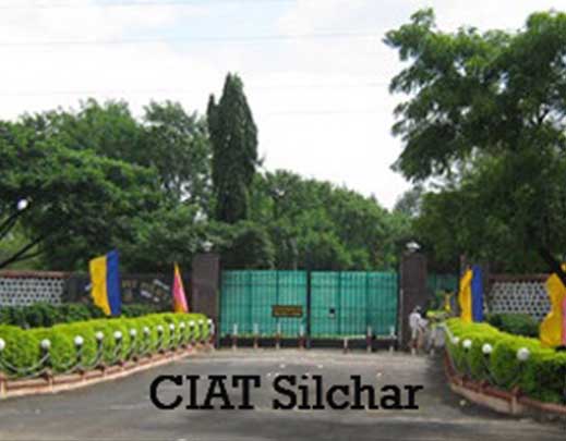 CIAT-Silchar