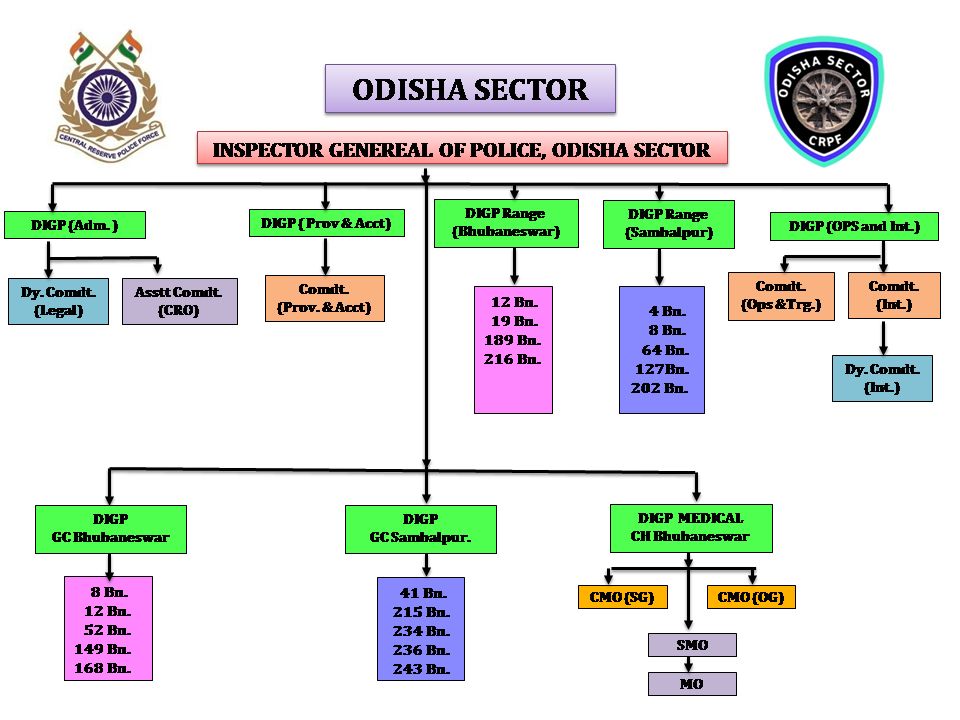 organization structure Odisha Sector